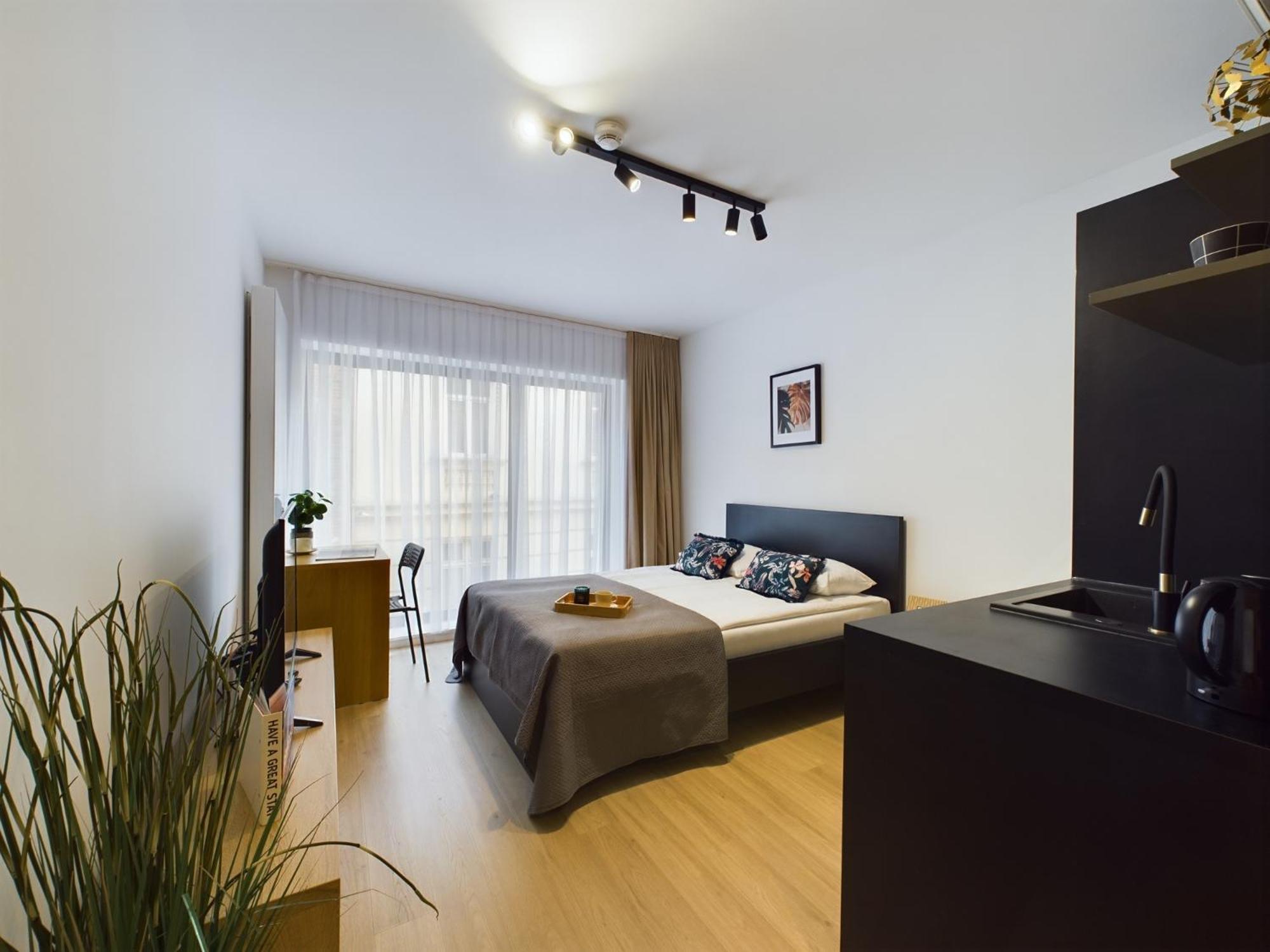 Modern With Air Conditioning In Downtown By Renters * Krakow